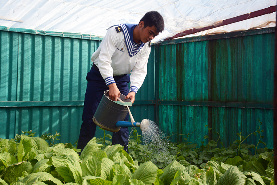 Những vườn rau xanh mướt ở Trường Sa